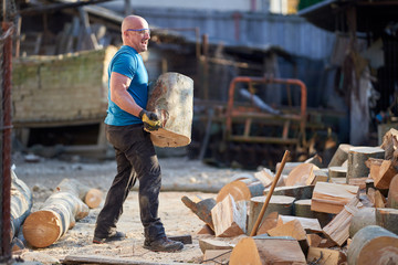Fit lumberjack carrying beech logs