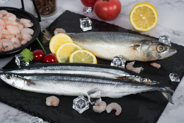 Fresh catch of fish and other seafood isolated on white background
