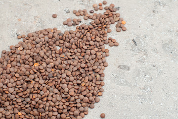 lentils in a wooden spoon, close-up on a gray background. horizontal orientation