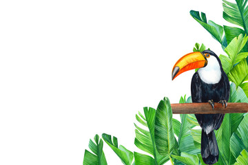 card with place for text, tropical flowers, toucan bird butterflies, watercolor drawing, jungle composition © Hanna