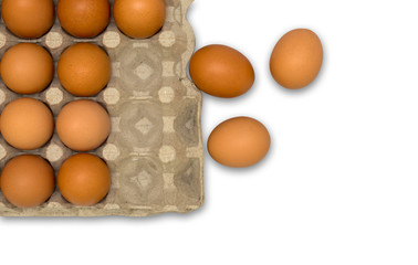A top view of a hen's egg in a panel on a white background