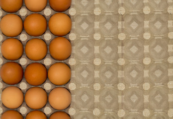 A top view of a hen's egg in a panel