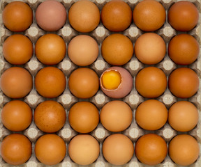 A top view of a hen's egg in a panel