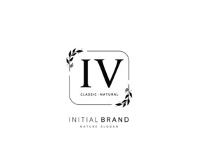 I V IV Beauty vector initial logo, handwriting logo of initial signature, wedding, fashion, jewerly, boutique, floral and botanical with creative template for any company or business.