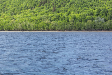 Water and green beach, background