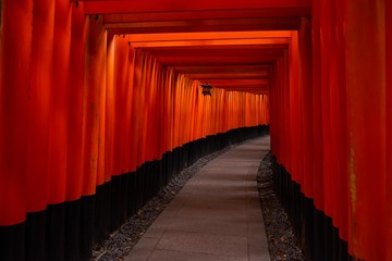 Red Torii gates in Fushimi Inari shrine, landmark of Kyoto Japan