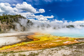 Hot springs and geyser basin landscape at Yellowstone National Park