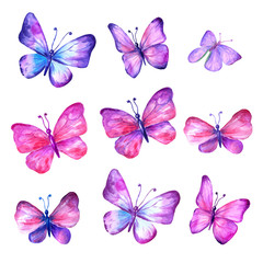 Fototapeta na wymiar Set of watercolor butterflies hand-drawn.