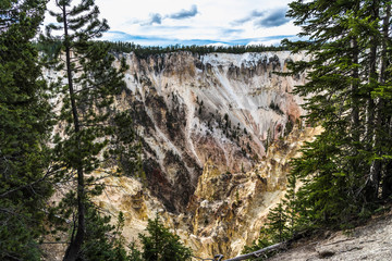 Fototapeta na wymiar Yellowstone river and canyon landscape at Yellowstone National Park