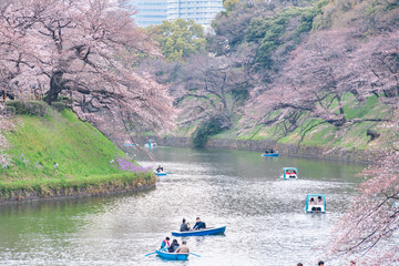 Fototapeta na wymiar CHIYODA, TOKYO PREFECTURE, JAPAN - March 27, 2019: Visitors enjoying the scenario surrounded by Chidori-ga-fuchi Moat's cherry blossoms (sakura) on a rental boat ride.