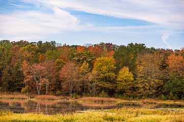 Obraz premium autumn landscape with trees and blue sky