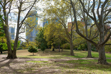 Fort Greene Park in Brooklyn New York with Trees and Skyscrapers in the Background during Autumn