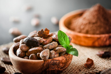 Cocoa beans with mint on jute side view. Cacao powder in wooden bowl blure in background. Panorama or banner concept.
