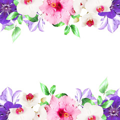 Beautiful floral background of clematis, hibiscus and orchids. Isolated