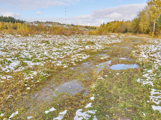 field in the forest. autumn