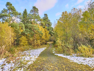 road in the field. autumn