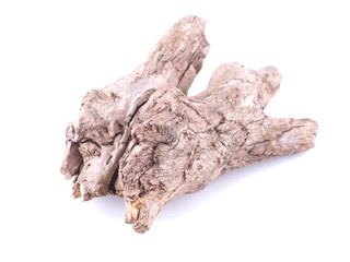 wooden driftwood on a white background