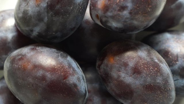 Fresh ripe damson plums rotating close-up top view.