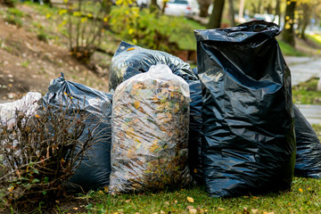 Leaves fallen from trees and packed in large bags in the yard