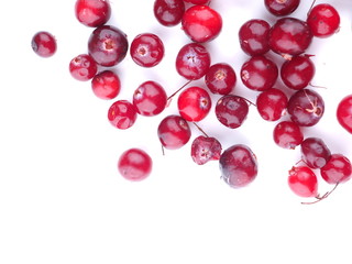 cranberries on a white background