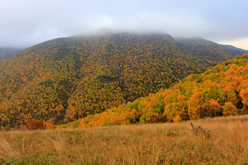 mountain natural scenery