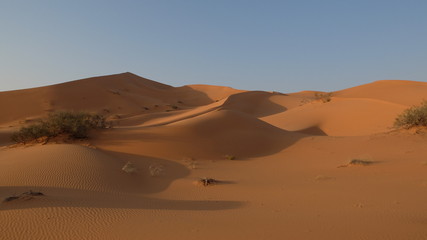 Fototapeta na wymiar Star Dunes in the Nafud Desert close to Ha'il in Northern Saudi Arabia
