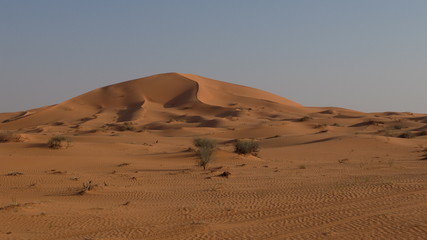 Fototapeta na wymiar Star Dune in the Nafud Desert in Saudi Arabia close to Hail