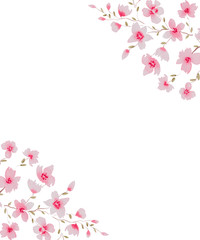 Obraz na płótnie Canvas watercolor cherry blossom flowers frame for invitation, floral birthday card, sakura flower decorative frame