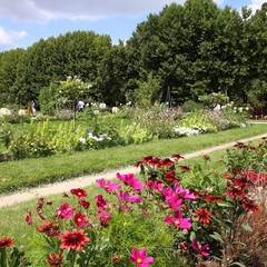 Paris - Garden of Plants