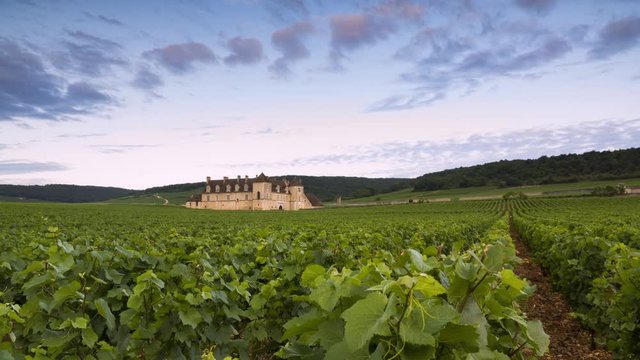 Clos de Vougeot
