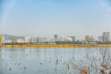 Naklejka premium the buildings with lake