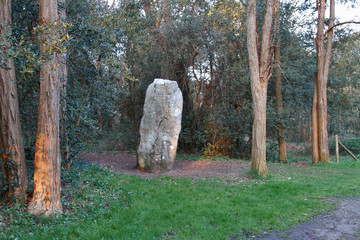 Menhir de la pierre attelée (Loire-Atlantique)