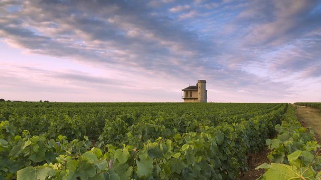 Time Lapse clos de Vougeot 1