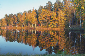 Wooden path among the reeds on the lake