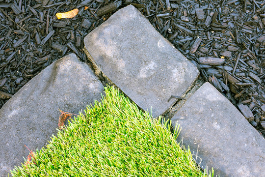 Detail of a small backyard garden, with low maintenance artificial grass, brick edging, and black mulch.