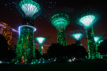 Supertree Grove in Singapore Park