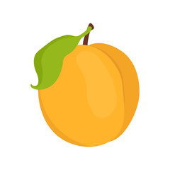 peach flat design isolated on white background