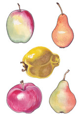 Apples,pears and quince on white background