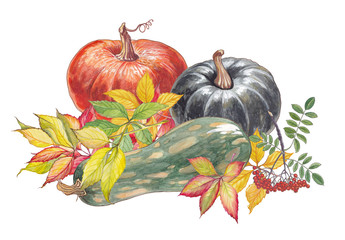 Pumpkins with autumn leaves on white background.