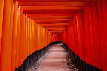 Red Torii in Fushimi Inari in Kyoto, Japan