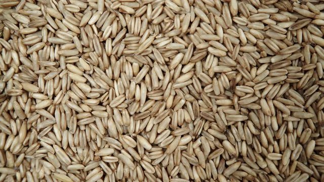 Oat seeds as natural food background. Top view. Healthy diet organic nutrition.
