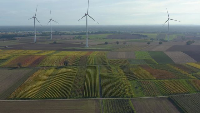 Aerial view of wind turbines beside vineyards in Germany. On a sunny day in Autumn, fall.  Zoom out from the turbines.