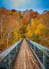 Fototapeta na wymiar Walk Bridge with Fall Leaves