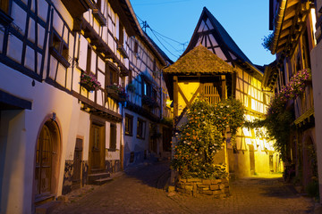 Fototapeta na wymiar Eguisheim village view