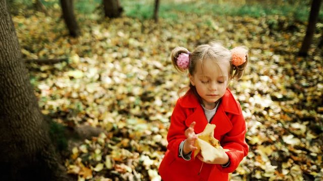 Little girl in autumn park