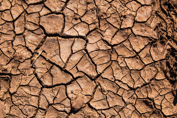 Climate change Environment concept: dry ground close up