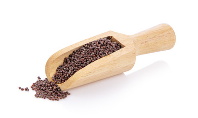 mustard seeds in wood scoop isolated on white background