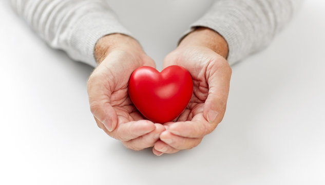 health, charity and people concept - close up of senior man holding red heart in hands