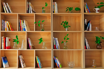 Bookshelves and green plants