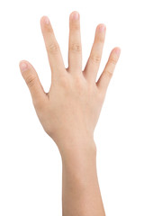Obraz premium various gestures and sign of Woman's hand isolated on white background with clipping path.